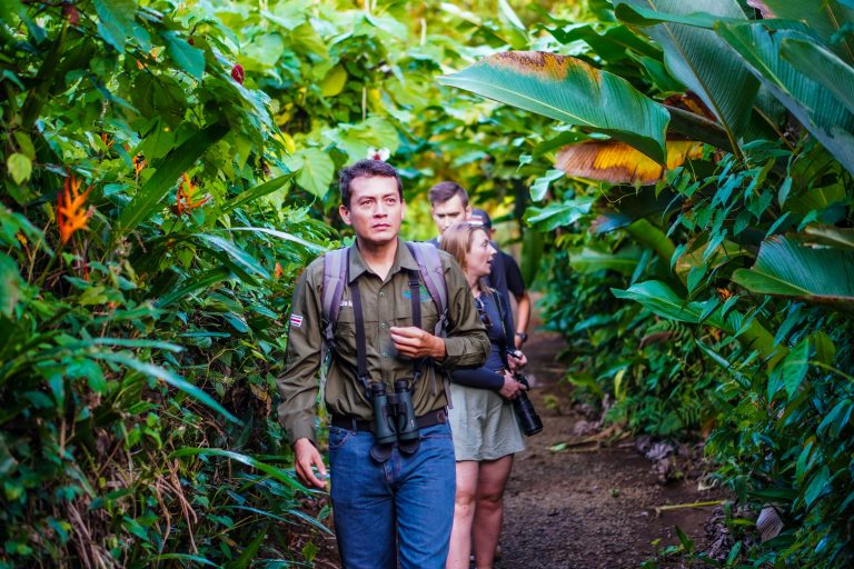 Eco Lodge Costa Rica - Maquenque Lodge