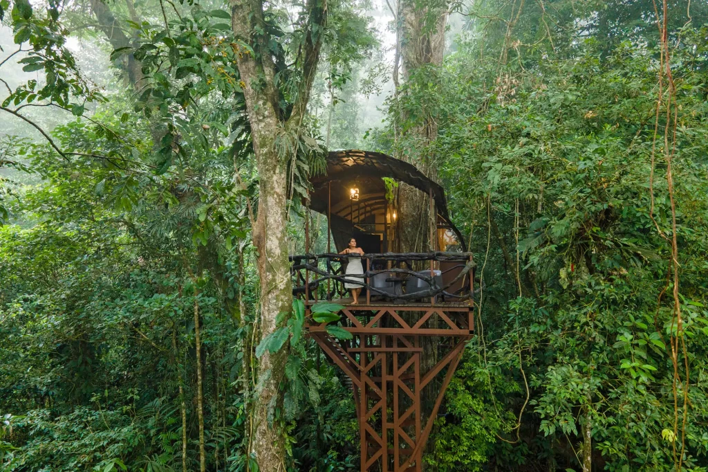 Treehouses hotel Costa Rica - Maquenque Lodge