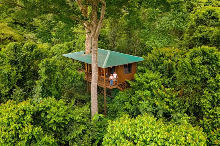 Costa Rica Accommodation - Maquenque Lodge