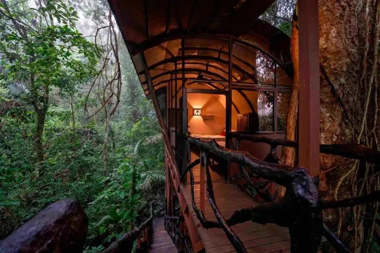 Treehouses hotel Costa Rica - Maquenque Lodge