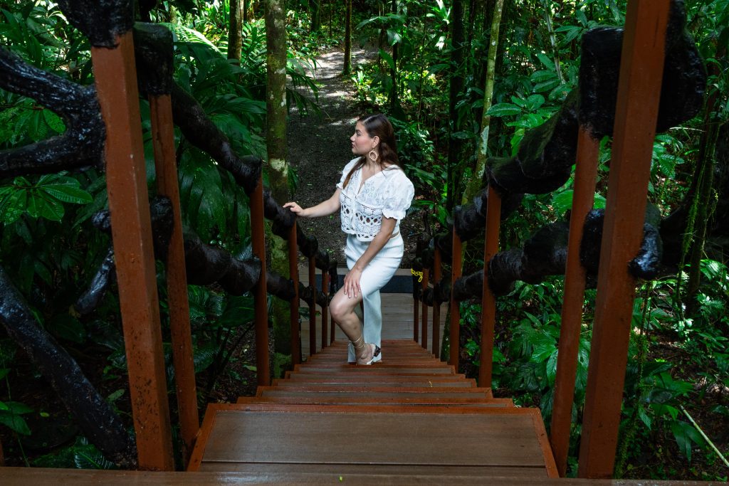 Tree house in Costa Rica - Maquenque Lodge