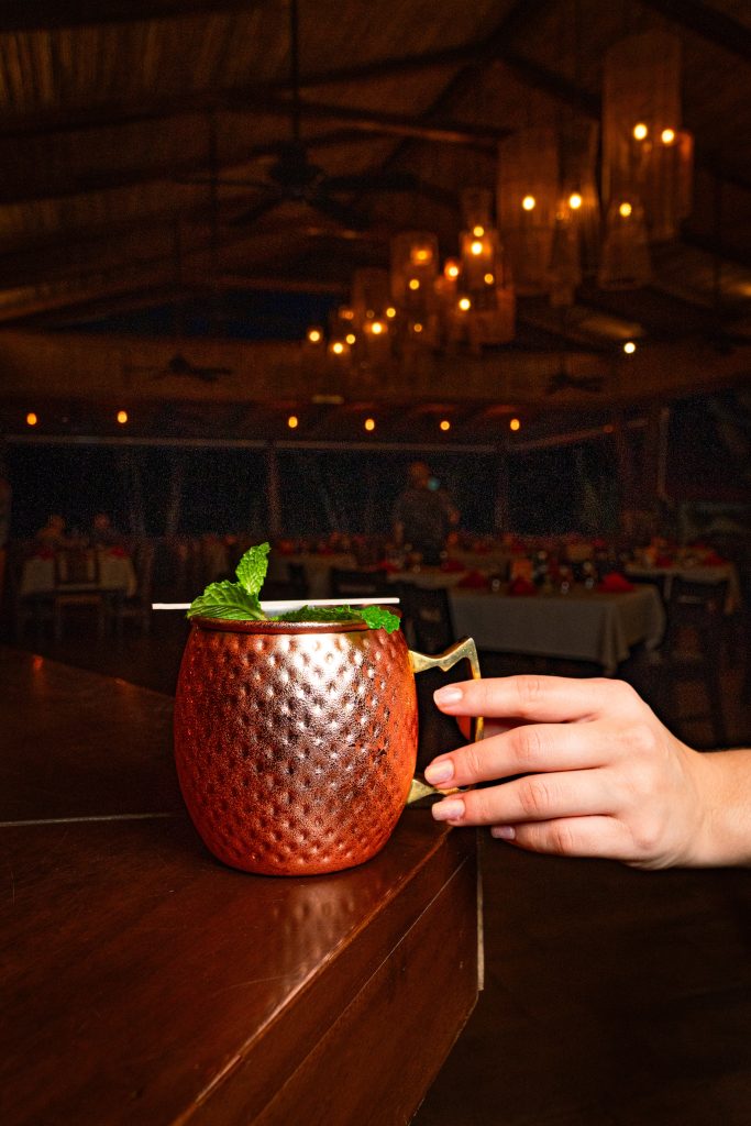 Maquenque Lodge - Bar