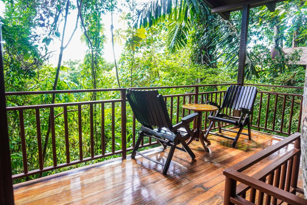 Maquenque - Junior-Tree-House