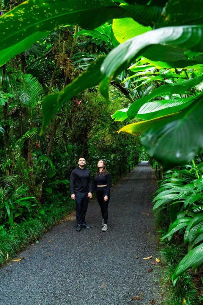 Jungle Hotel Costa Rica - Maquenque Lodge